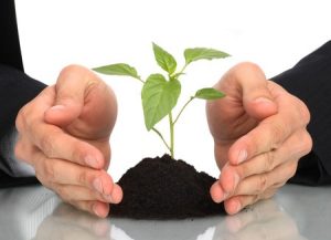 how to make your small business green